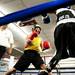 Azteca fighter Cameran Pankey boxes Soul City competitor Marcos Pecina on Friday, July 19. Daniel Brenner I AnnArbor.com